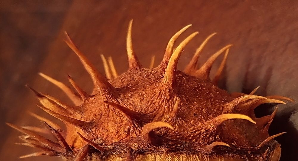 Photograph by Светлана