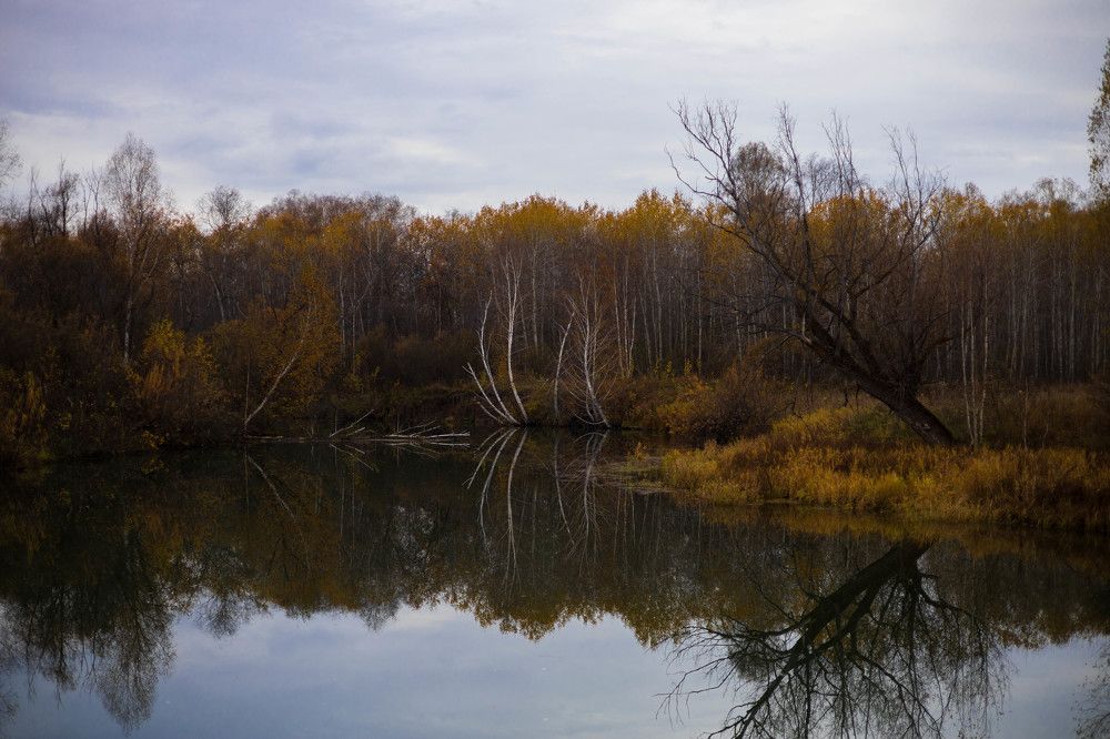 Photograph by Юлия Тетерина