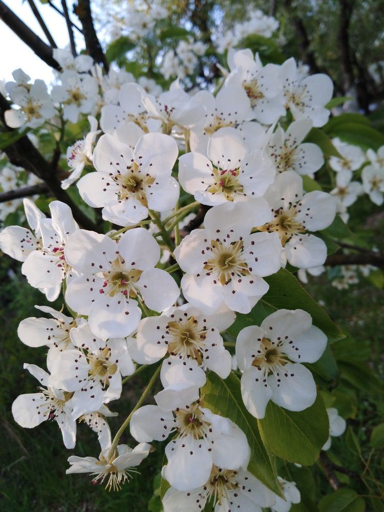 Photograph by Янина Милош