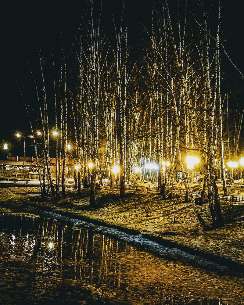 Фотография автора Нина Зинченко