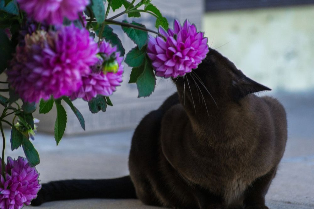 Photograph by Гюзель Даугуль