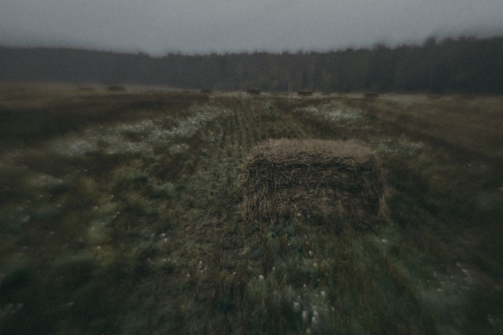 Фотография автора Татьяна Сикорская