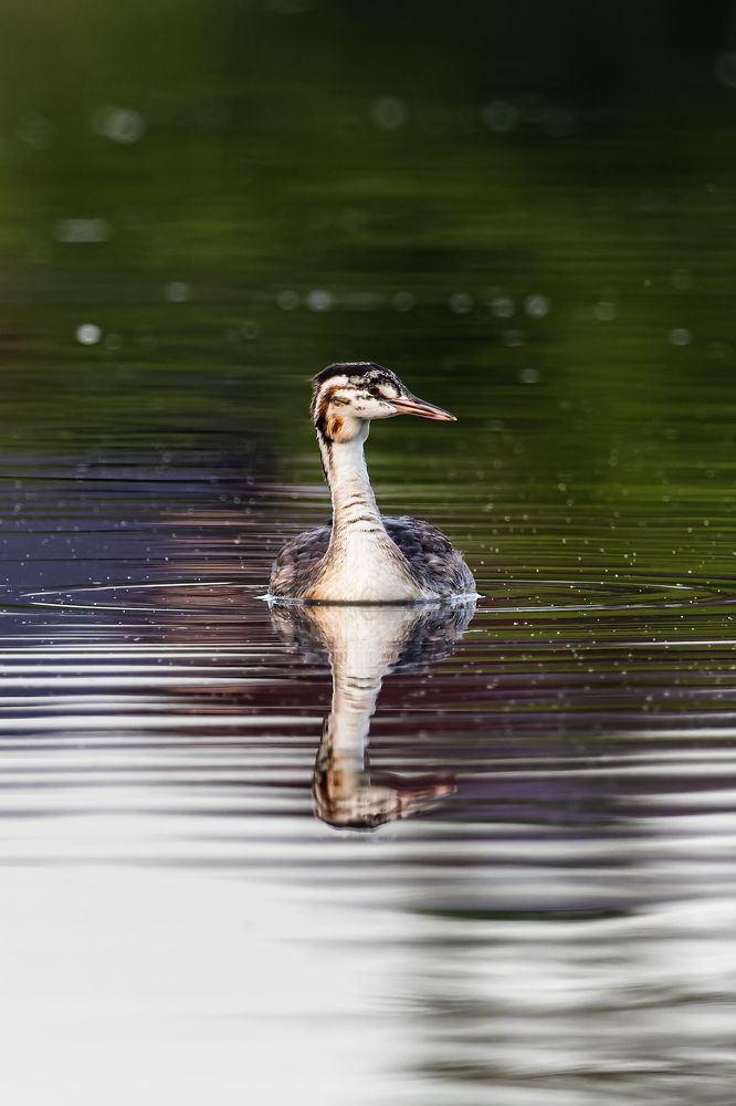 Photograph by Павел Безруков