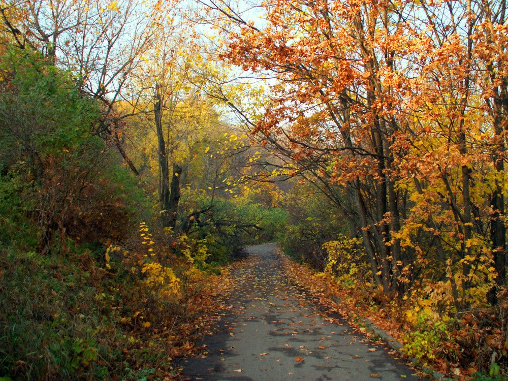 Photograph by Людмила Павловна