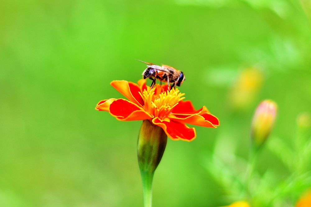 Photograph by Cергей Землянский