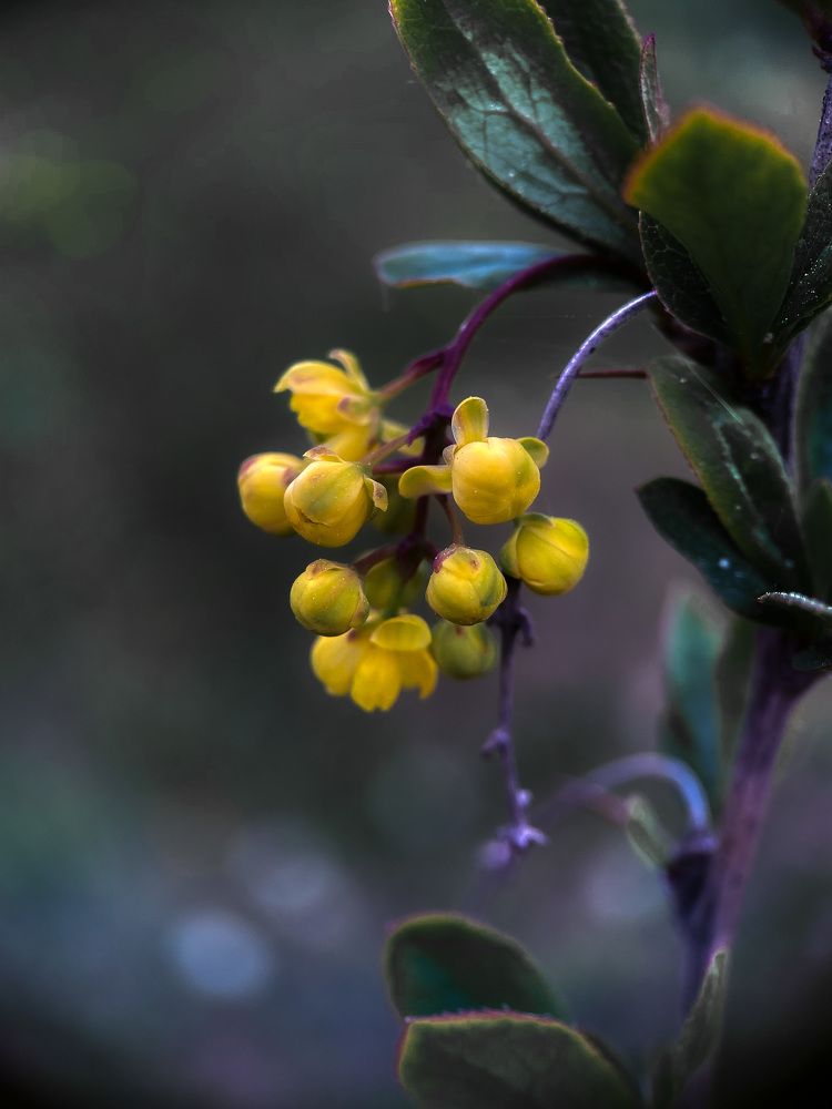 Photograph by Юлия Субботина