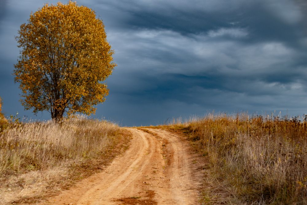 Photograph by Елена Ефимова