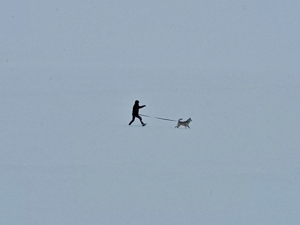 Photograph by Анна Новосельцева