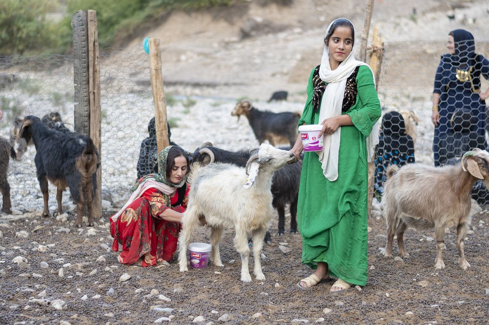 Photograph by Edris Khosravizadeh