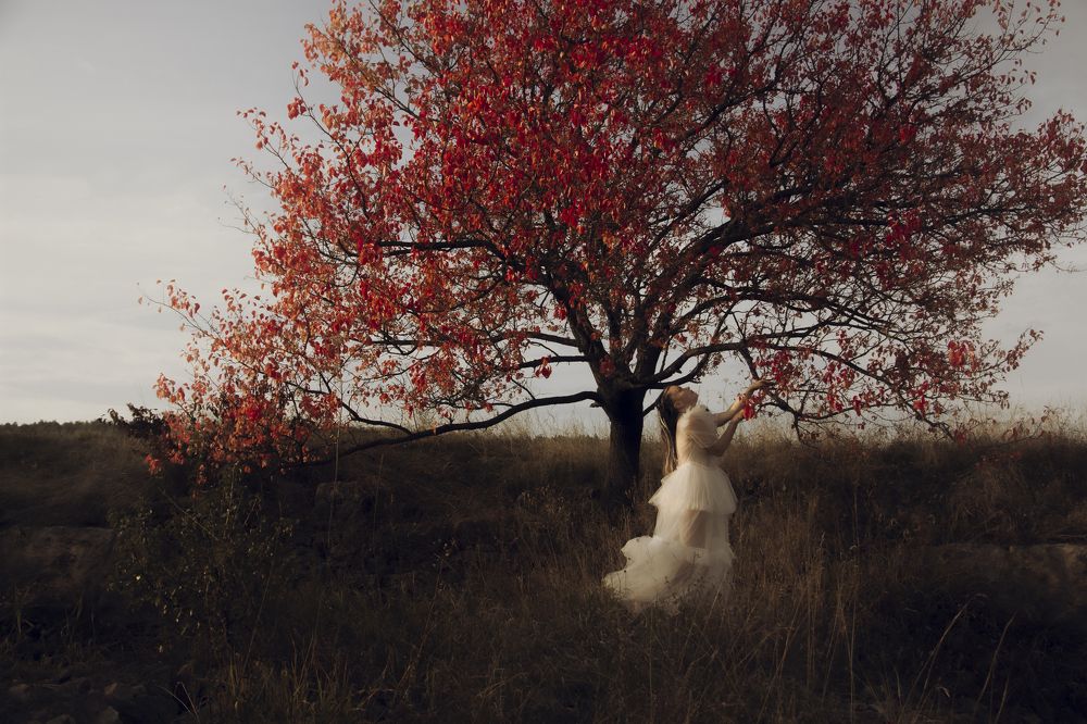 Photograph by Мария Матвеенко