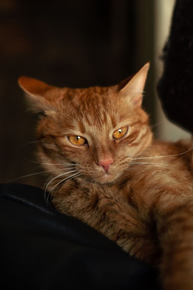 Photograph by Виктория Павлюк