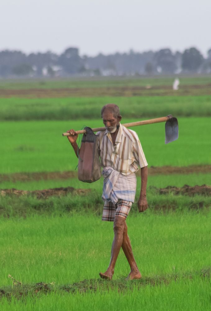 Photograph by Sharaf Hakeem