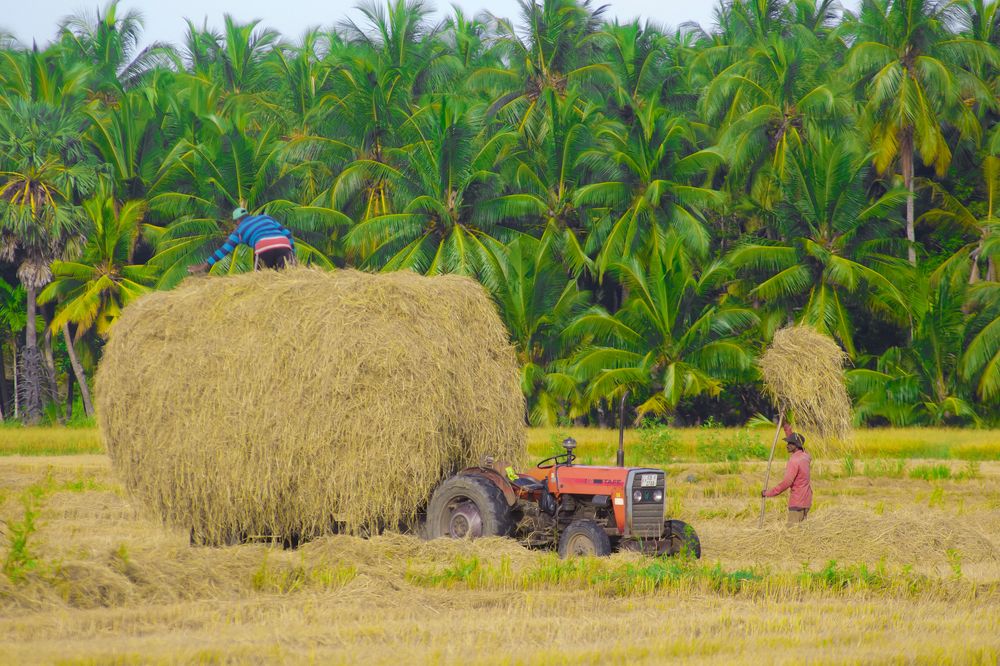 Photograph by Sharaf Hakeem