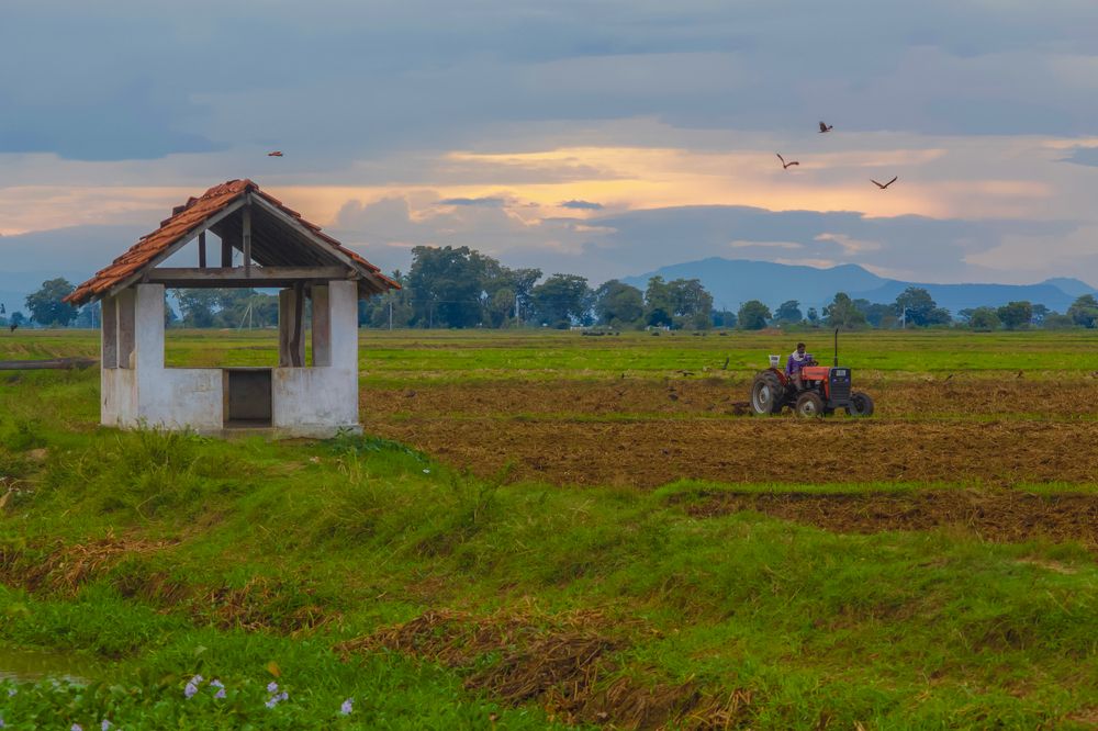 Photograph by Sharaf Hakeem