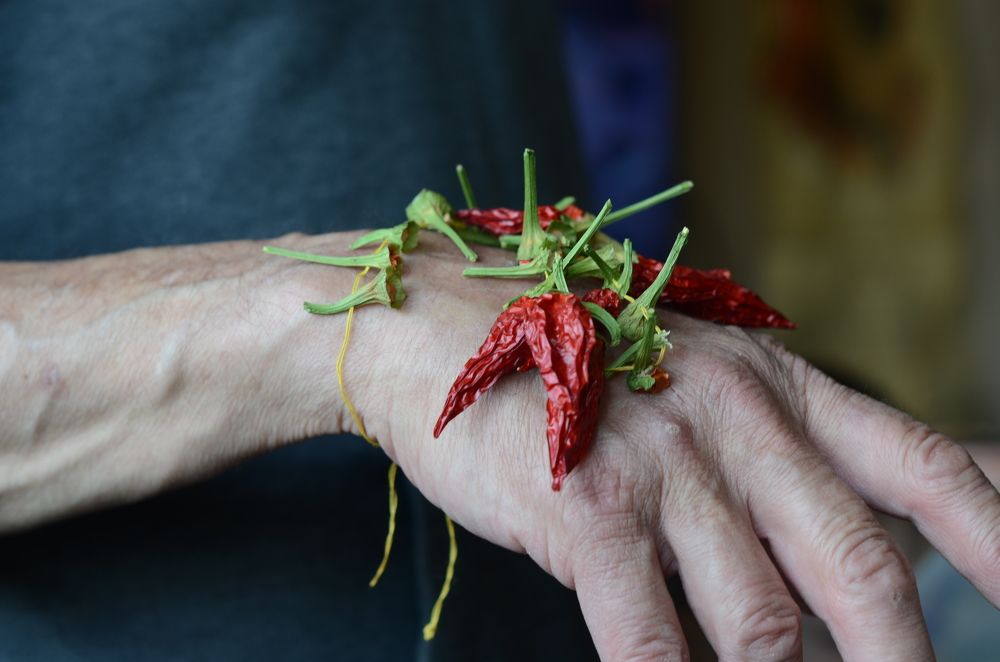 Photograph by Анна Новосельцева