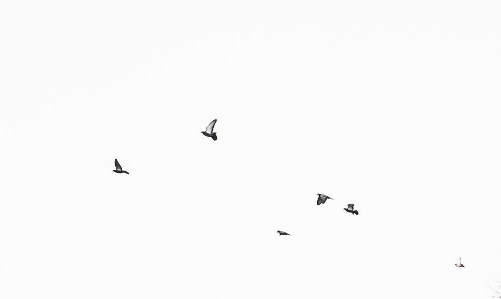 Photograph by Mari Papunidze