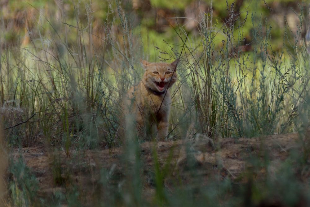 Играем в прятки.