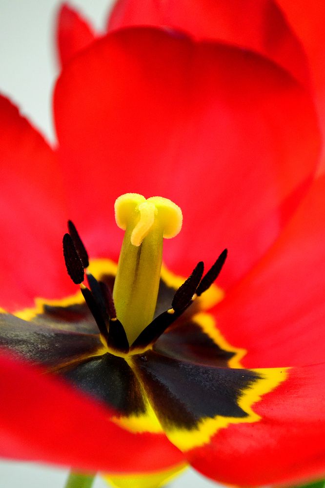 Photograph by Cергей Землянский