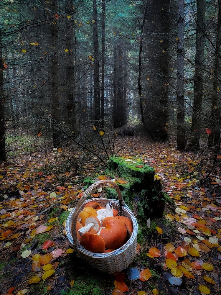 Photograph by Юлия Субботина