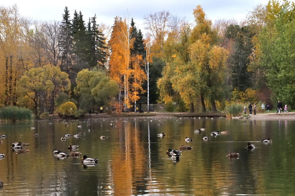 Photograph by Сергей Рябов