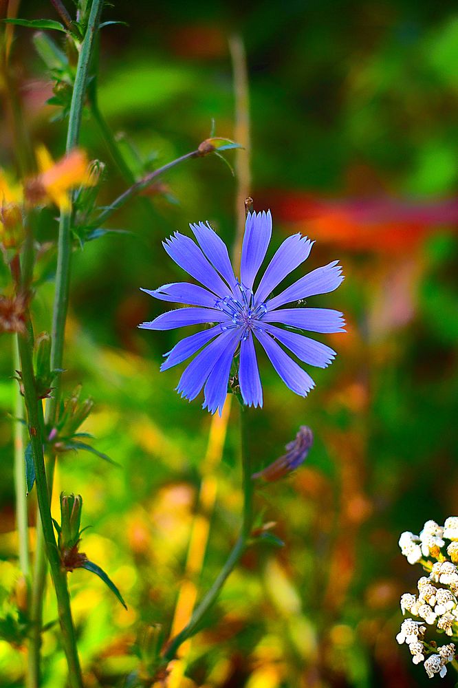 Photograph by Cергей Землянский