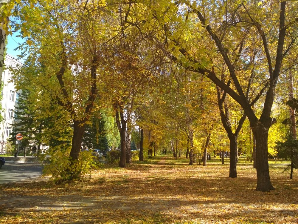 Photograph by Владислав Д