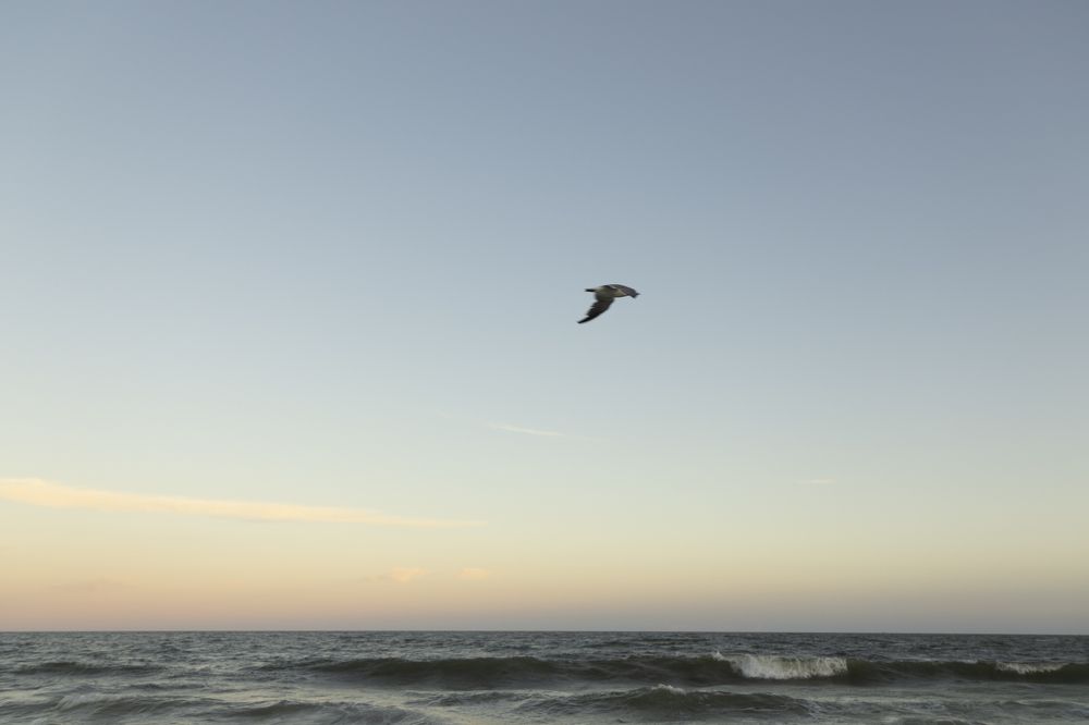 Photograph by Elena Shliachkova