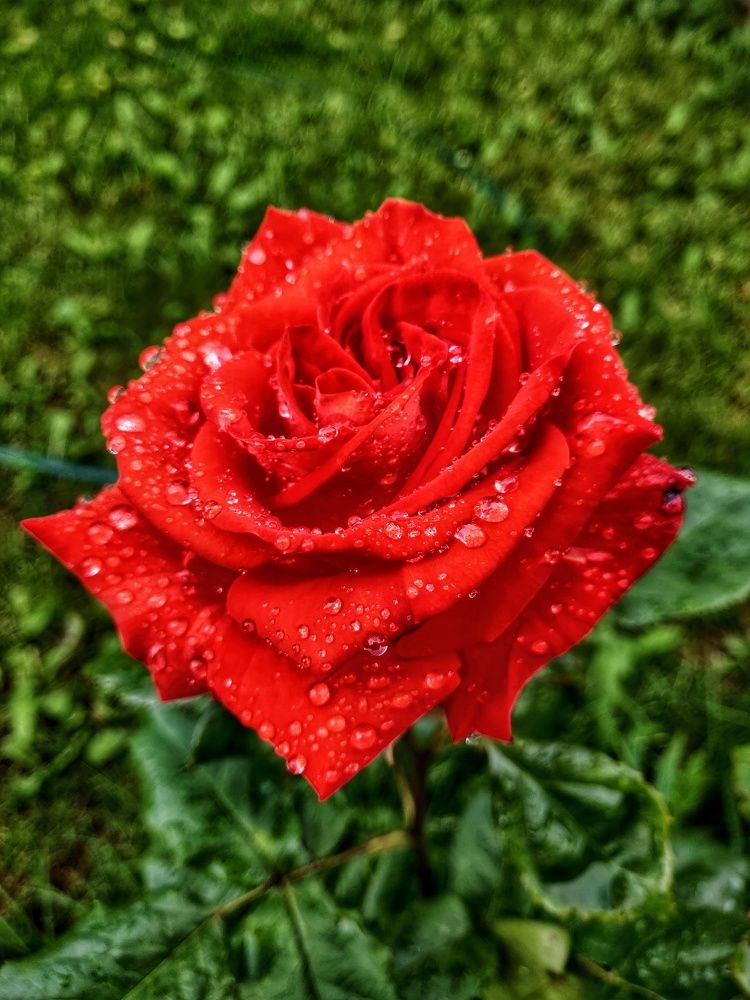 Photograph by Наталья Корнеева