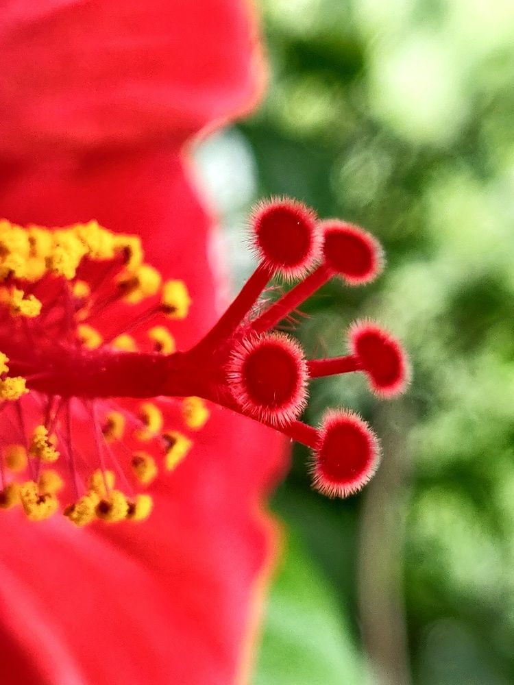 Photograph by Наталья Корнеева