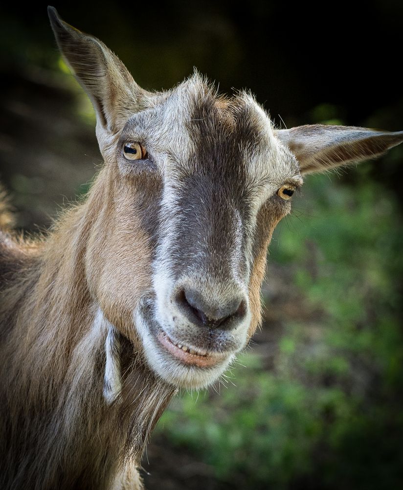 Photograph by Виктория Янушанис