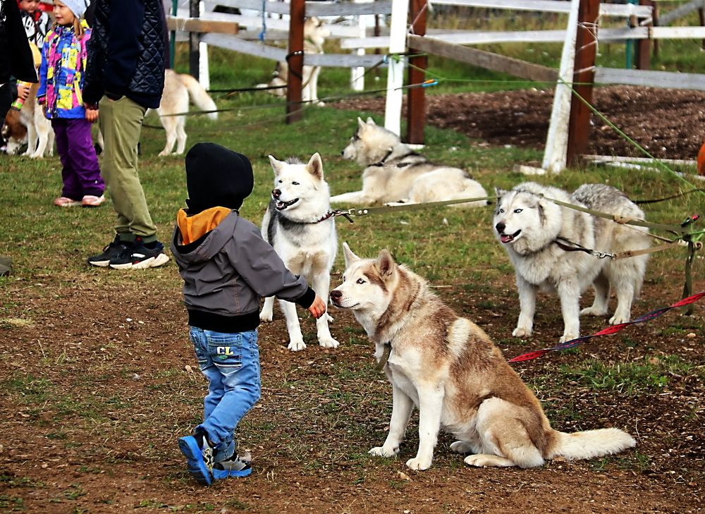 Photograph by Александр Лазебник