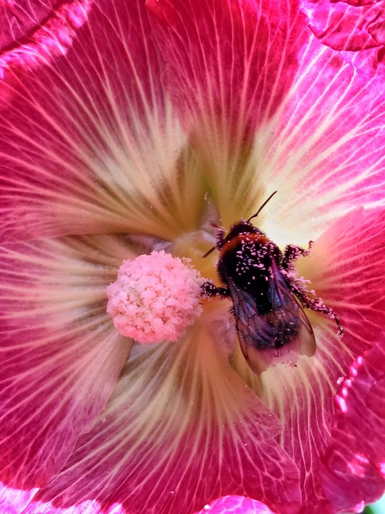 Photograph by Наталья Корнеева