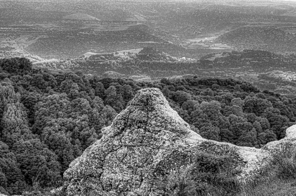 Photograph by Алекскандр Фатеев