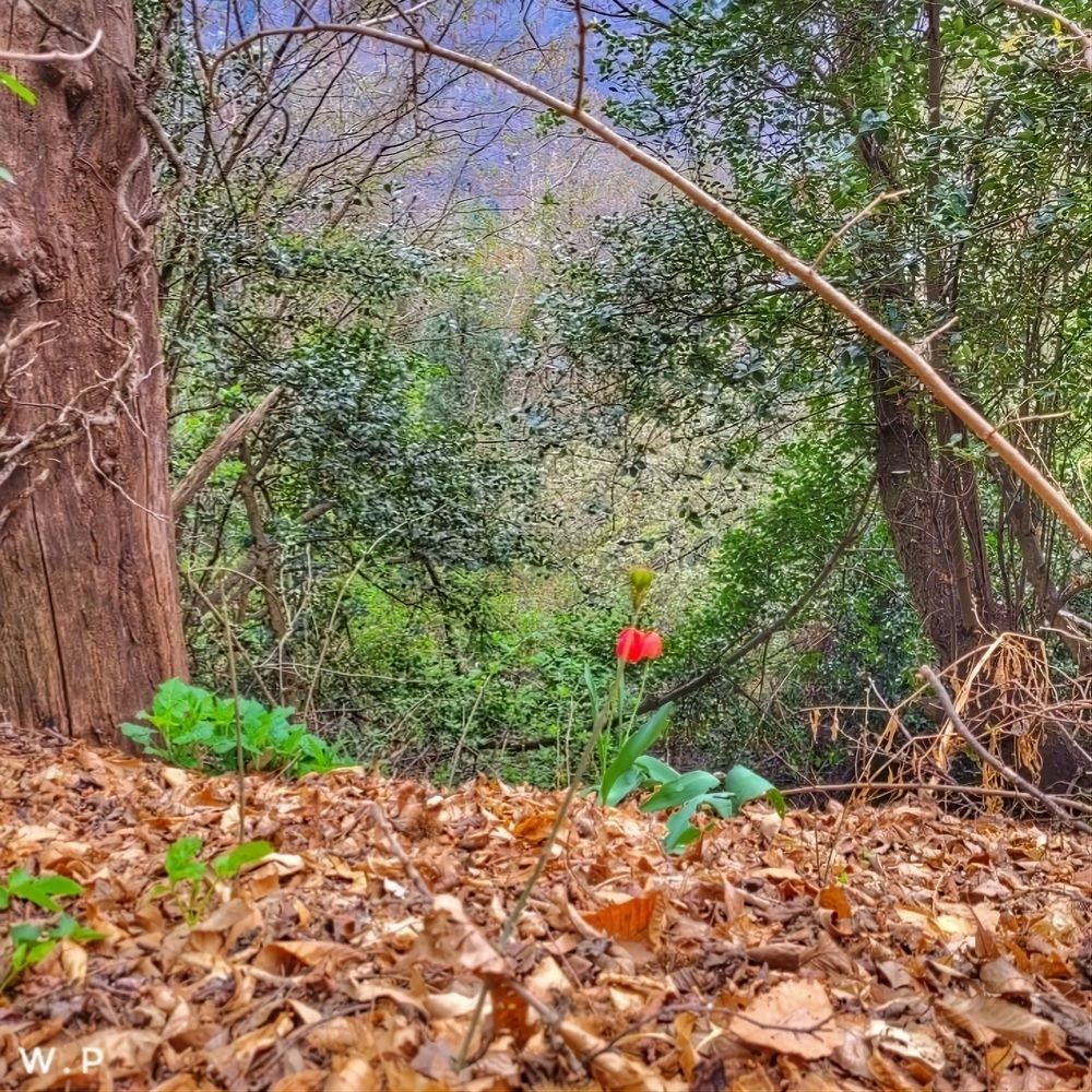 Photograph by Catherine