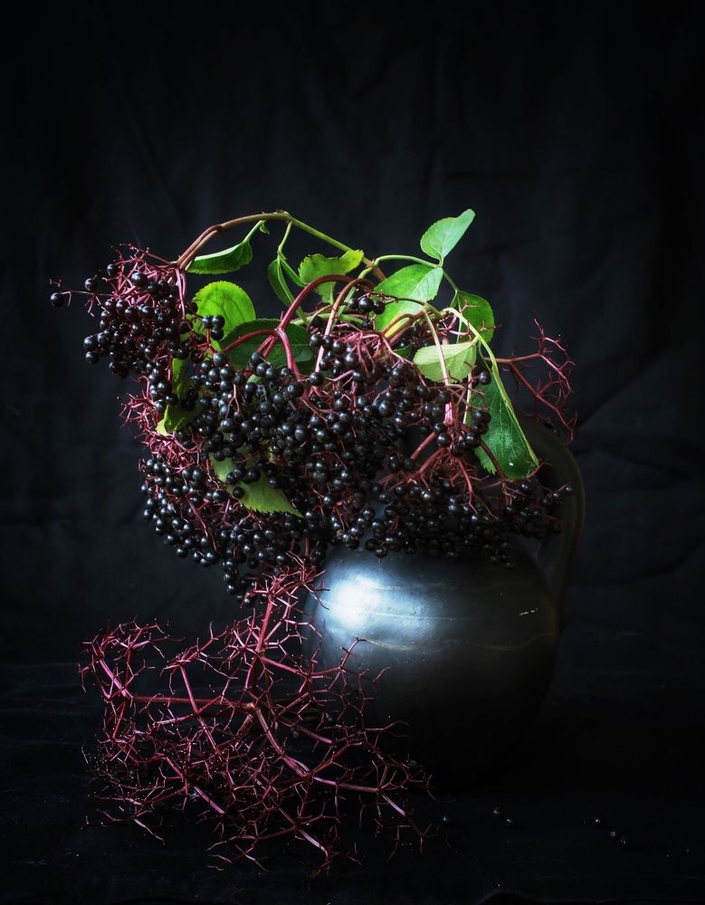 Фотография автора Evgeniya Ivanova