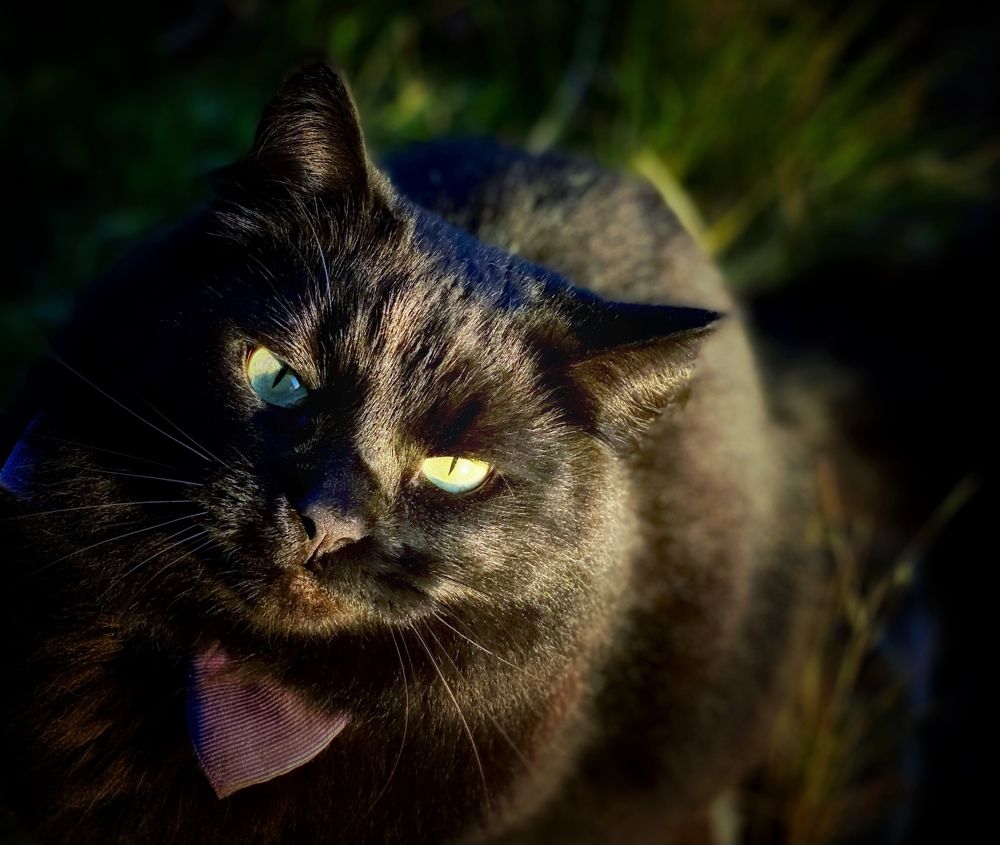 Фотография автора Evgeniya Ivanova