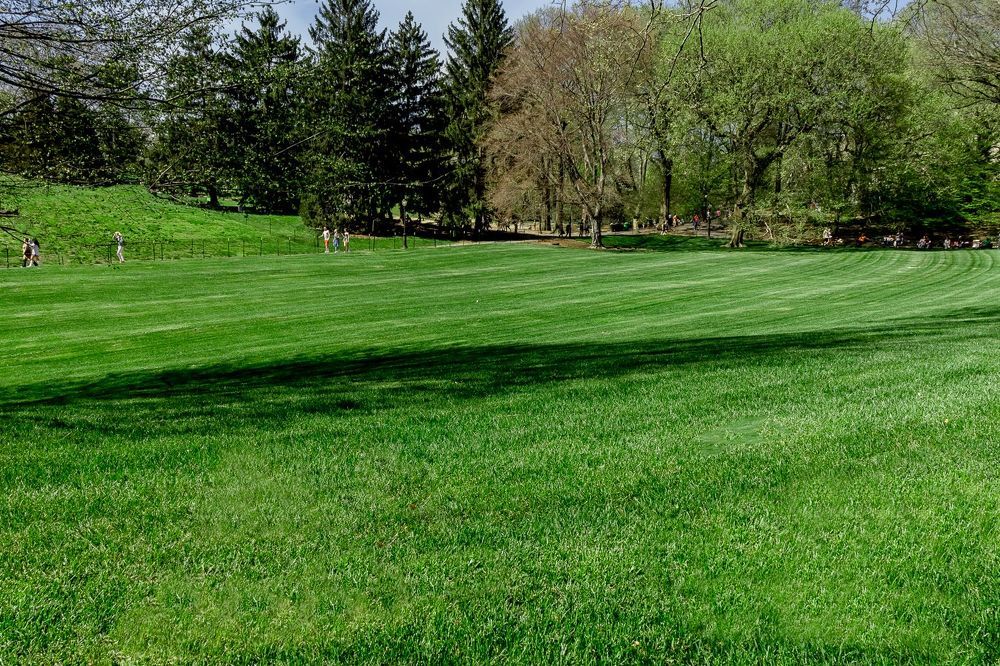 Photograph by Кермен Манджиева