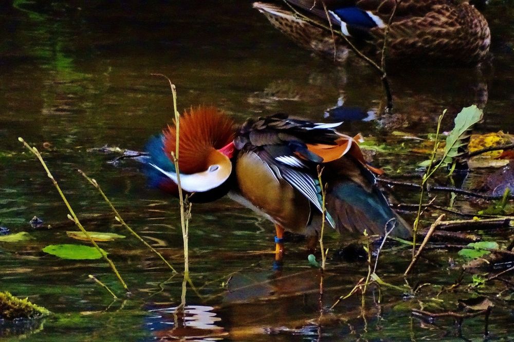 Photograph by backareva irina