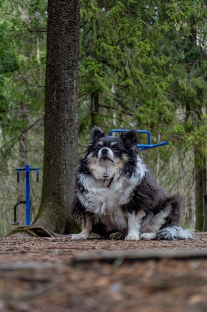 Photograph by Глеб Обуховский