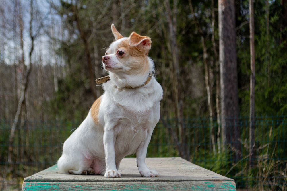 Photograph by Глеб Обуховский