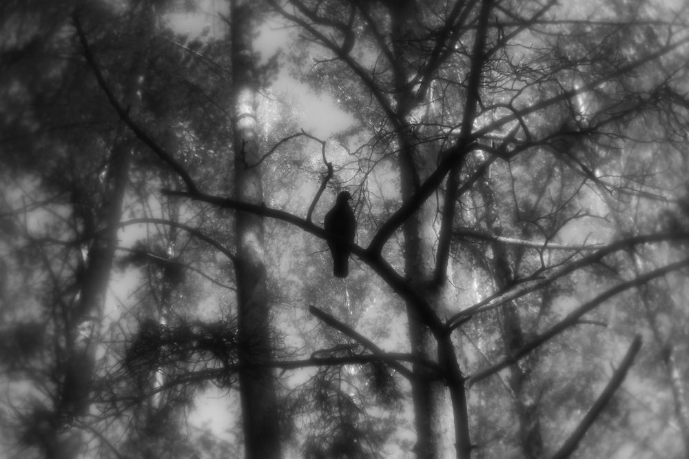 Photograph by Татьяна Овчинникова