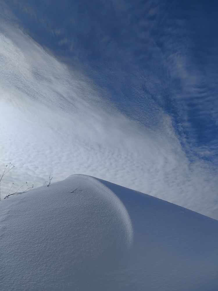 Photograph by Полина Мальцева