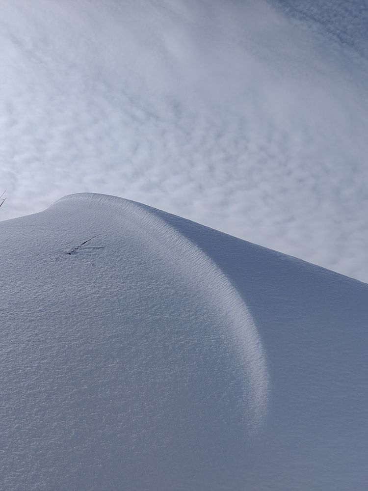 Photograph by Полина Мальцева