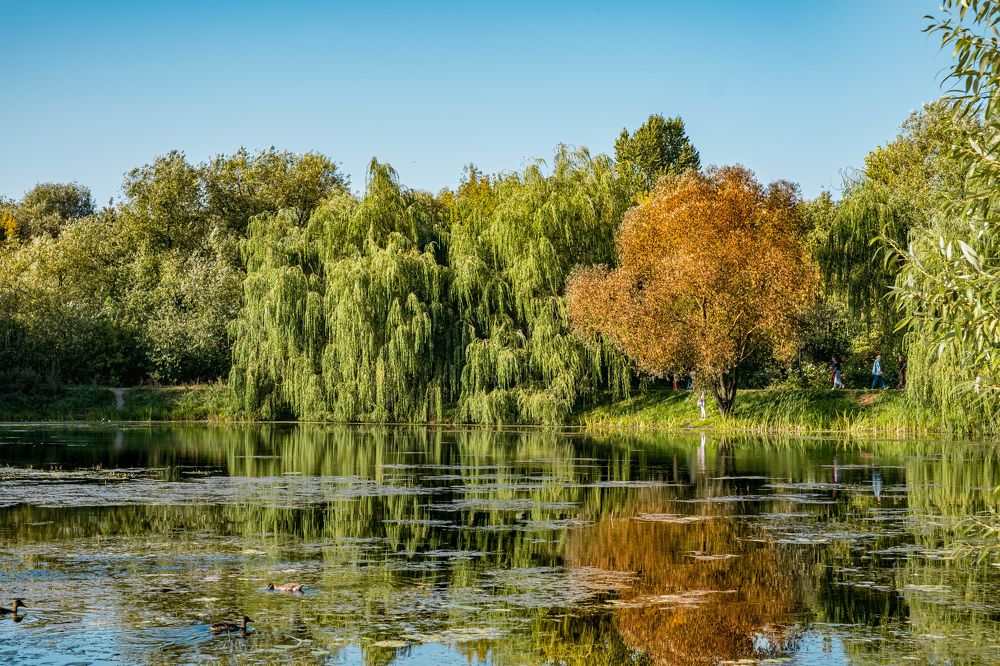 Photograph by Никита Борзов