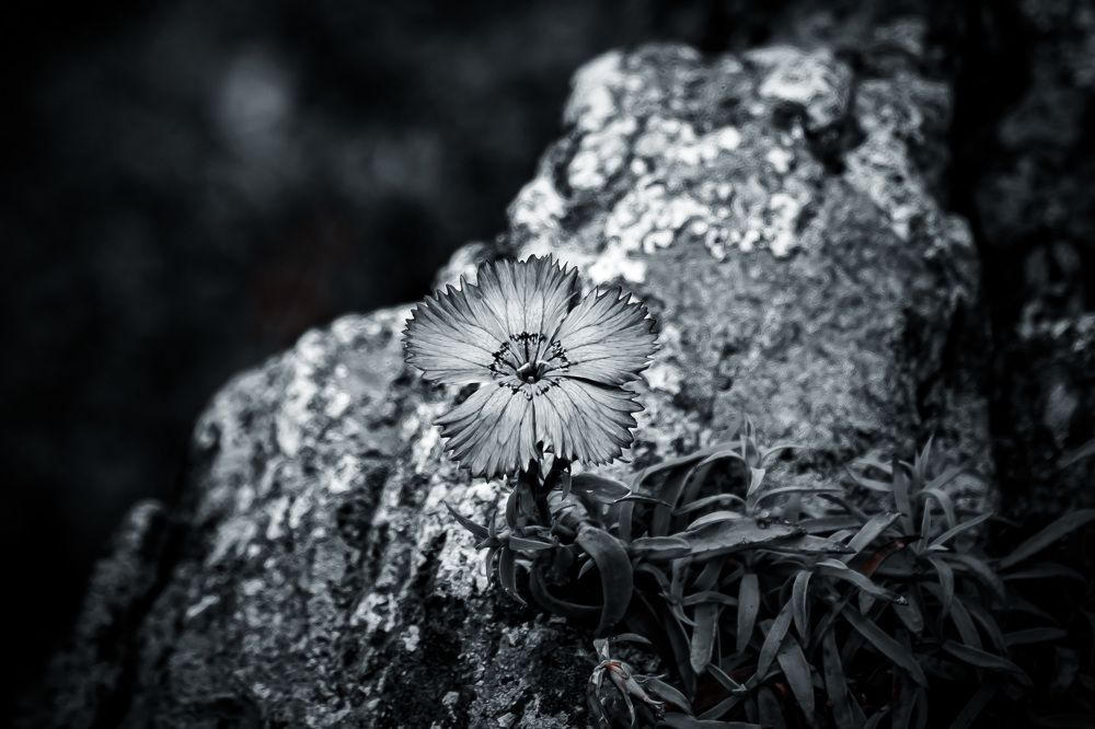 Photograph by Никита Борзов