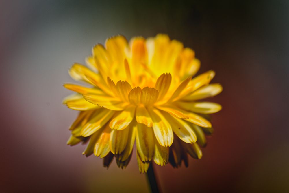 Photograph by Aleksei Degtjarjov