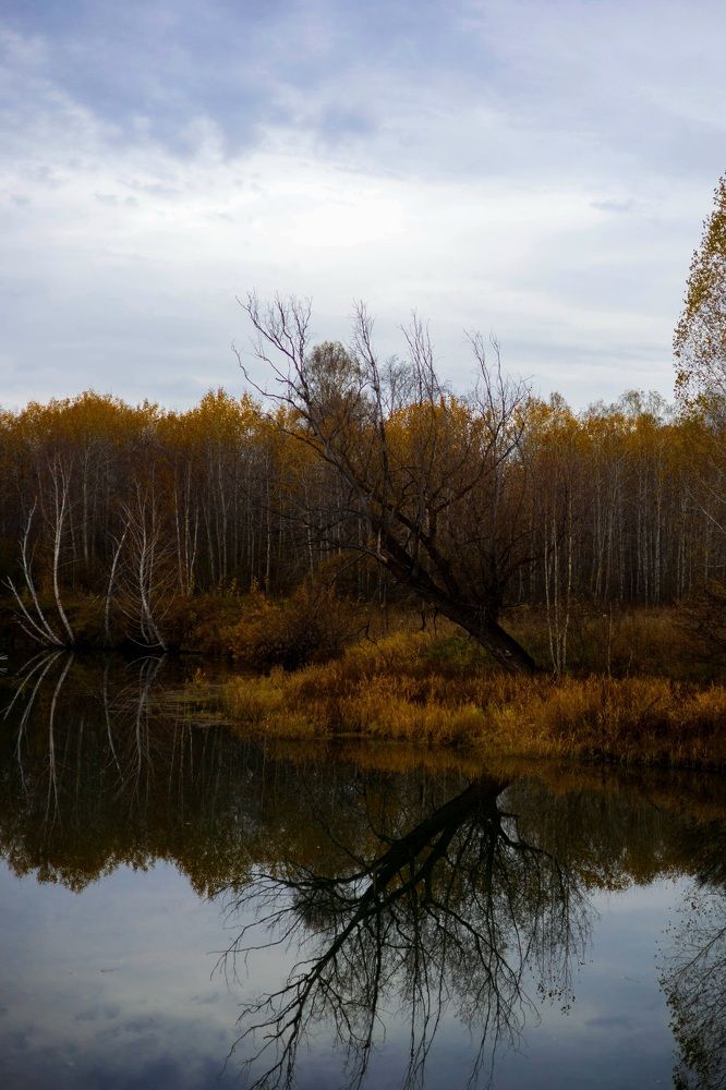 Photograph by Юлия Тетерина