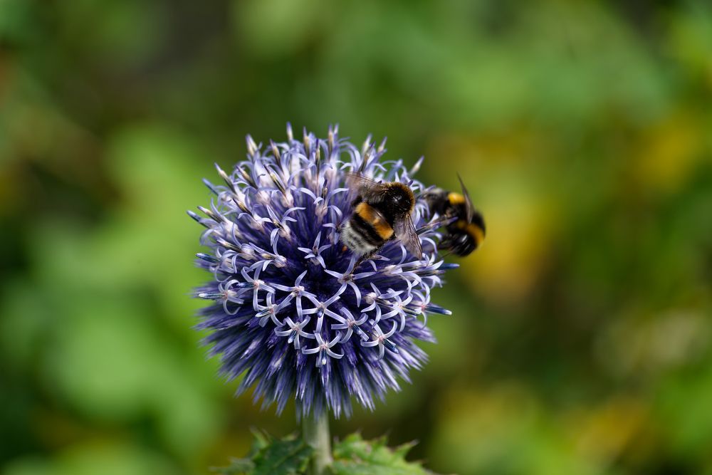 Photograph by Aleksei Degtjarjov