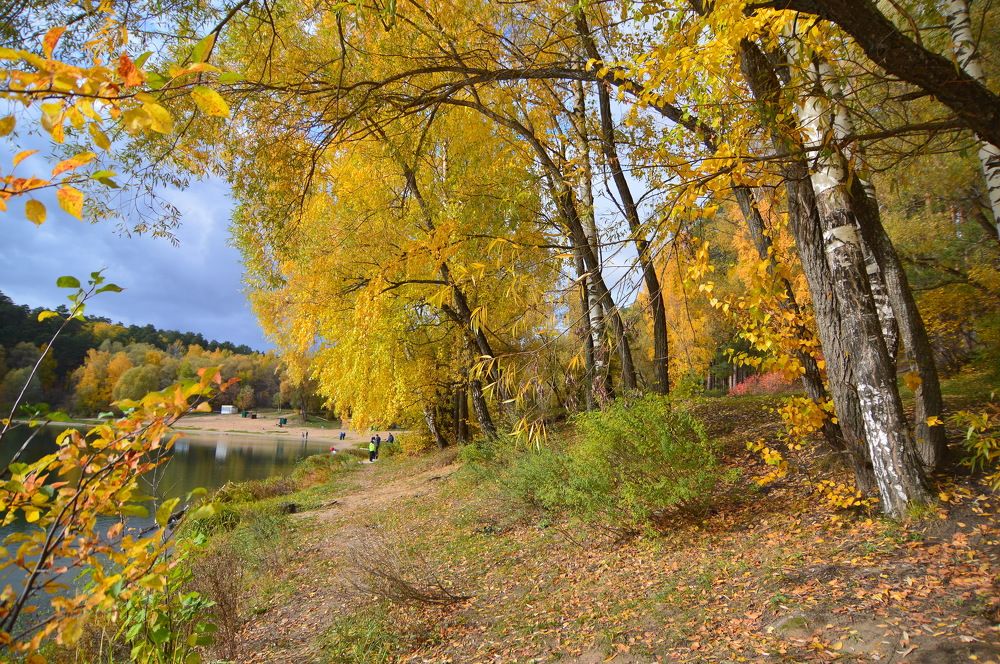 Фотография автора Клавдия Васильева