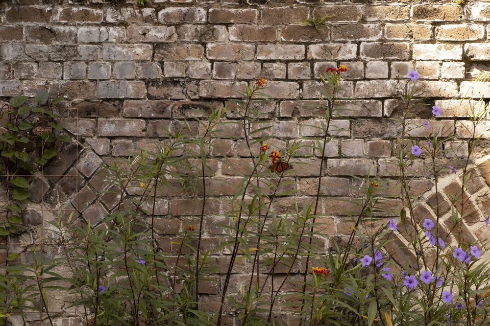 Photograph by Elena Shliachkova